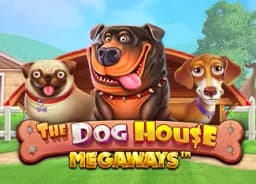 uspsilocybecubensis: The Dog House Megaways